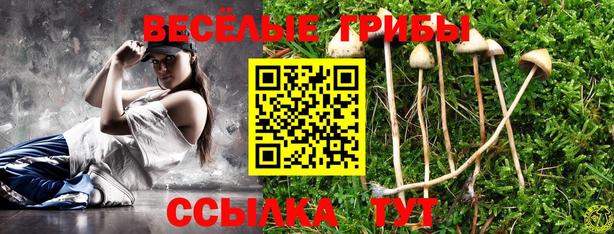 Псилоцибиновые грибы ЛСД  Псилоцибиновые грибы ЛСД  Вход с VPN  Серпухов 